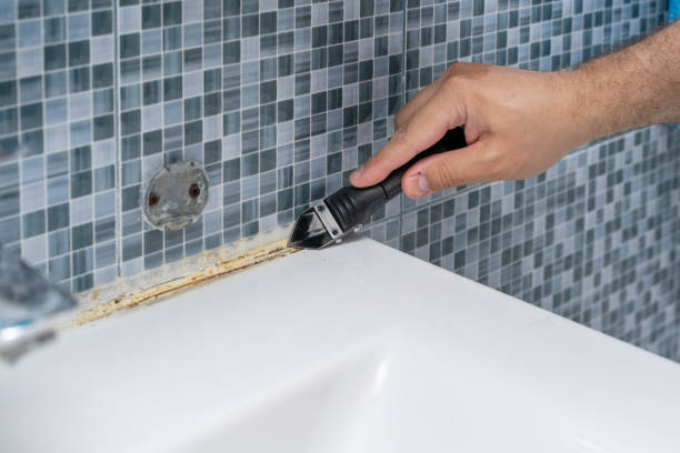 Best Mold Remediation Services  in Cloverdale, CA