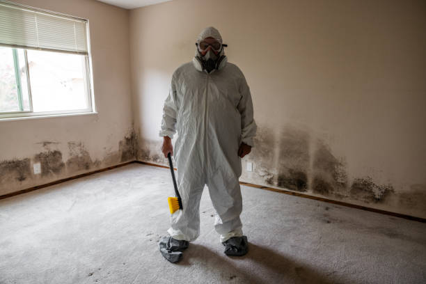 Best Office Mold Removal Services  in Cloverdale, CA