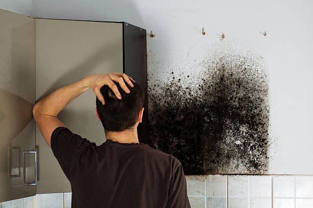 Best Mold Testing  in Cloverdale, CA